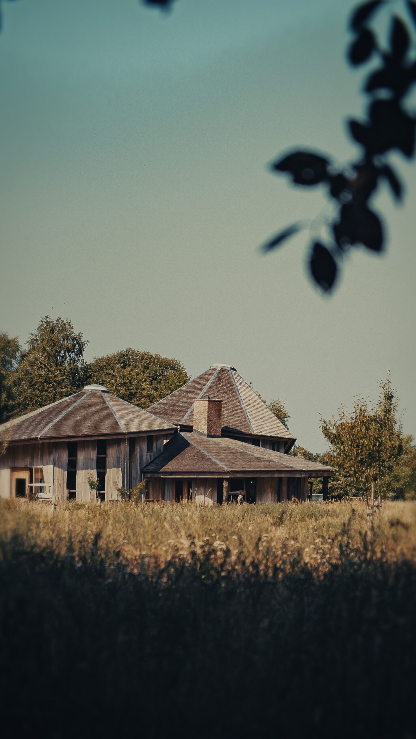 Summer night at Yugen Forest | July 29 - Image 4