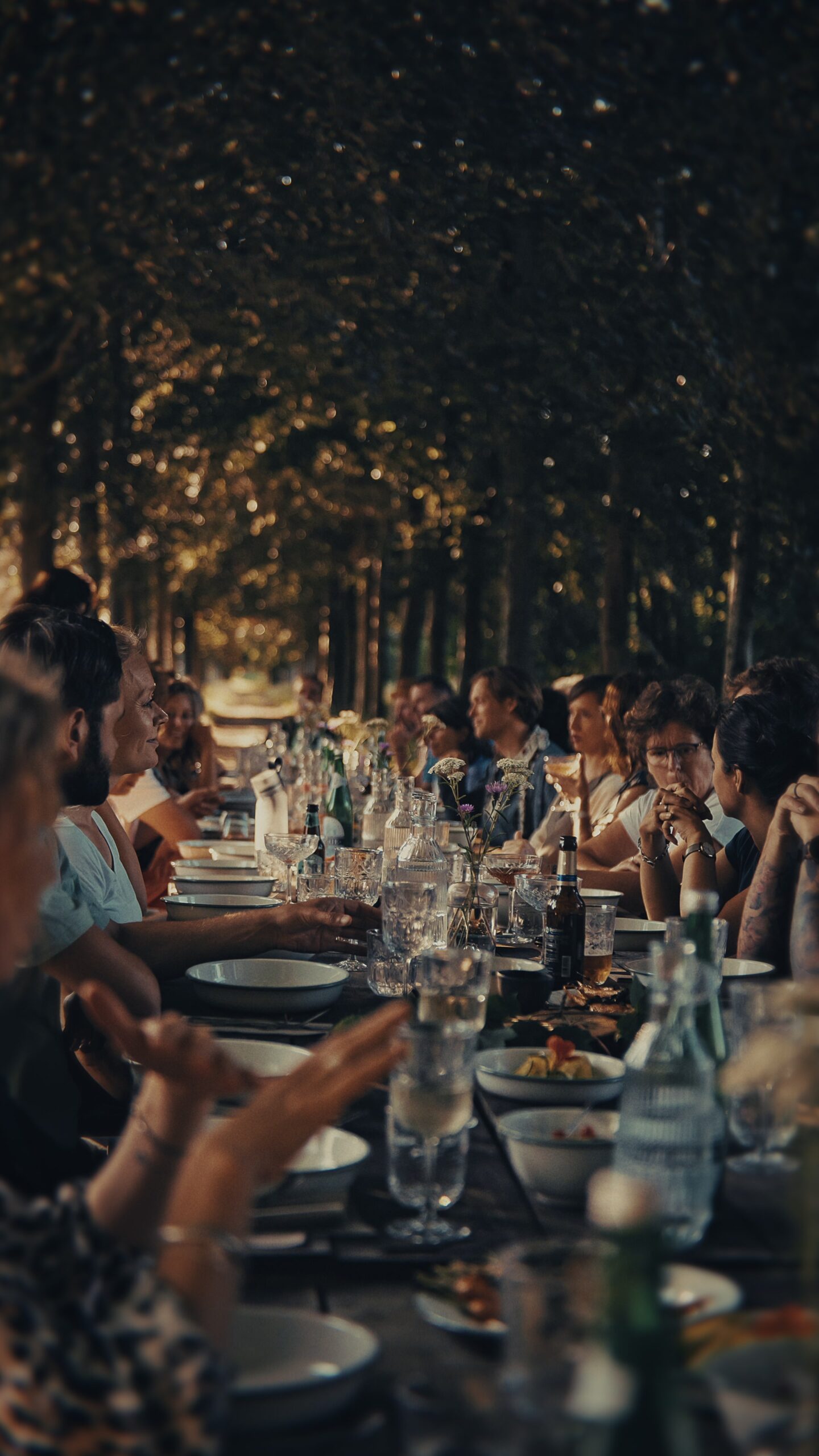 Summer night at Yugen Forest | July 29 - Image 3