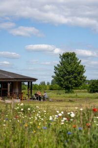 Zakelijke teamretraite in de natuur bij Yūgen Forest, Dronten