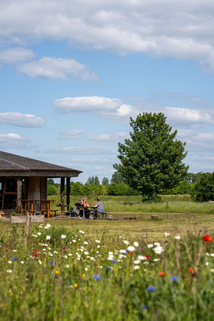 Corporate team retreat in nature at Yūgen Forest, Dronten